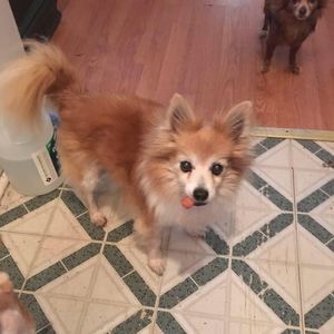 Meet your Posher, Nina